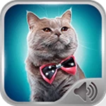 Logo of Cat Sounds Ringtones android Application 