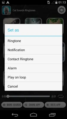 Cat Sounds Ringtones android App screenshot 1