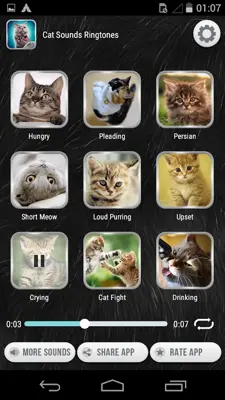 Cat Sounds Ringtones android App screenshot 2