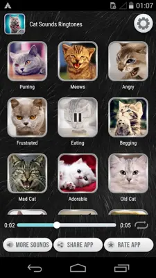 Cat Sounds Ringtones android App screenshot 3