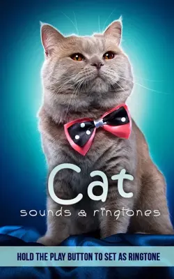 Cat Sounds Ringtones android App screenshot 4